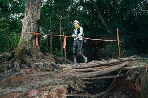 BIB: 
                            <button type="button" onclick="openModal(27319608)" class="btn btn-primary btn-sm float-right btn-popup" data-toggle="modal" data-target=".modal-high-quality">
                        <i class="fas fa-shopping-cart"></i> Add to Cart
                    </button>
                                            <button type="button" onclick="isThisMe(27319608, true)" class="btn btn-success btn-sm float-right btn-popup btn-isme hidden" data-toggle="tooltip" data-placement="bottom" title="นี่คือรูปของคุณใช่ไหม คลิกที่นี่เพื่อเอาเข้าอัลบั้ม">
                        <i class="fas fa-plus"></i> Add to album
                    </button>
                    <button type="button" onclick="isThisMe(27319608, false)" class="btn btn-warning btn-sm float-right btn-popup btn-isnotme hidden">
                        <i class="fas fa-ban"></i> Remove from album
                    </button>